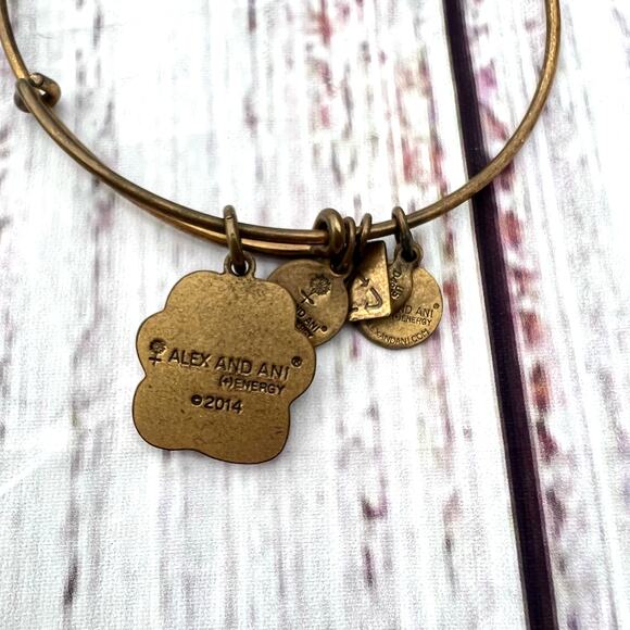 Alex & Ani Dog Paw Brass Toned Bangle Charm Bracelet Pre-Loved - Picture 4 of 5